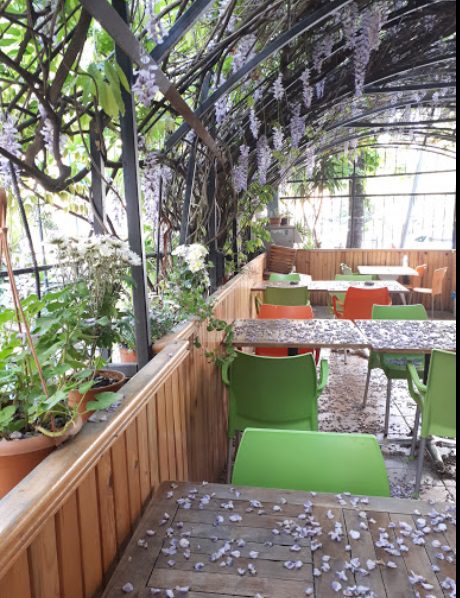 orkide-cafe_ubiAuzUz