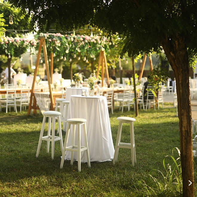 Saklı Orman