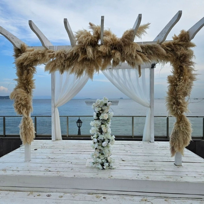 Sihirli Organizasyon