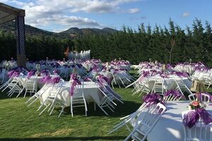 Kilim Düğün & Davet