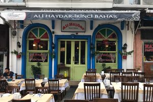 Ali Haydar İkinci Bahar