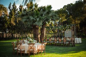 Three Palm Event & More