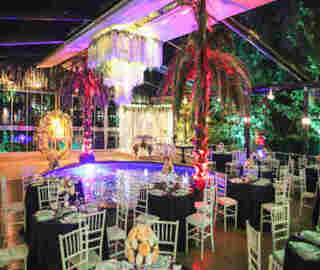 Çam6 Kır Düğünü