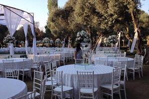 Çınar Kır Düğünü