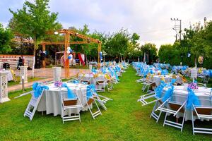 Zeytin Ev Kır Düğünü