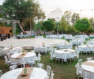 Elmasın Has Bahçesi