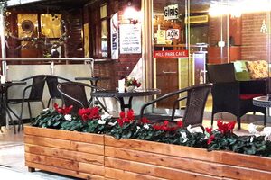 Milli Park Cafe Kına Salonu