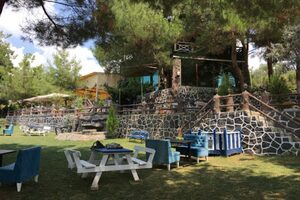 Çamlık Kır Düğünü