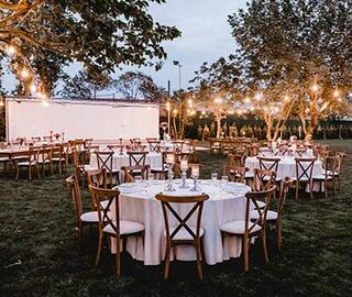 Leyya Wedding & More