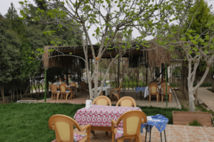 Şelale Kır Düğünü