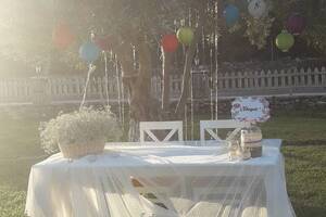 Oasis Park Kır Bahçesi