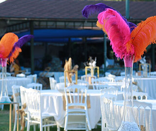 Montana Kır Bahçesi