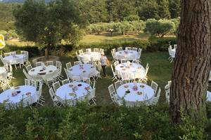 Alaş Kımız Çiftliği