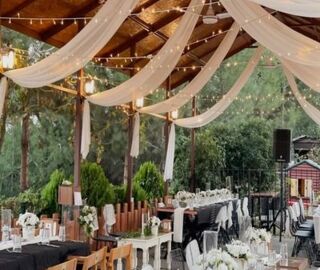 Rüzgarlı Tepe Organizasyon