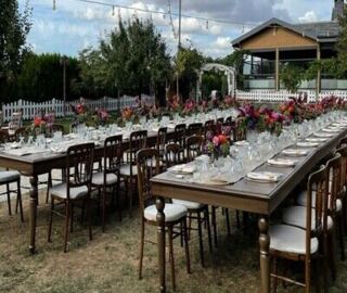 Zeytin Dalı Kır Bahçesi