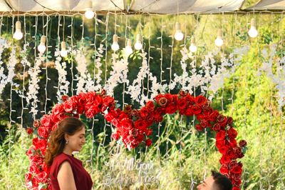 Pink Rose Evlilik Teklifi ve Plato