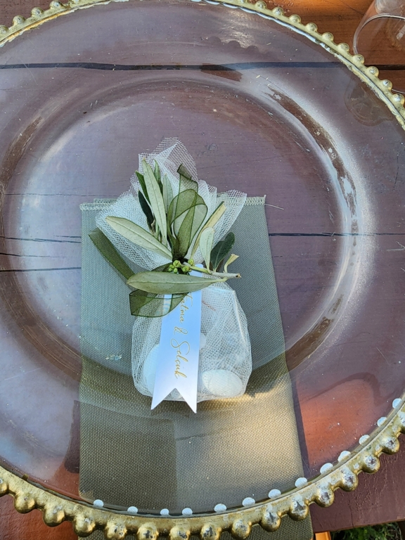 Mels Parti Organizasyon