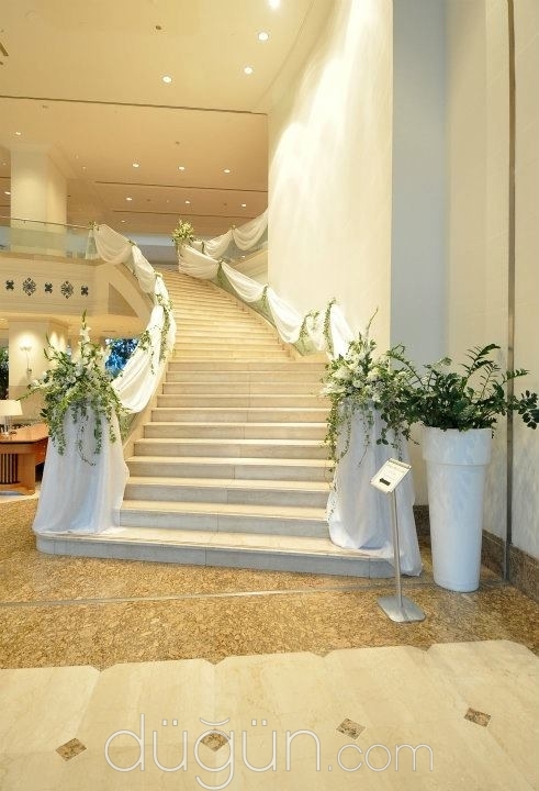 Zeynep Qustoo Çikolata Çiçek Organizasyon