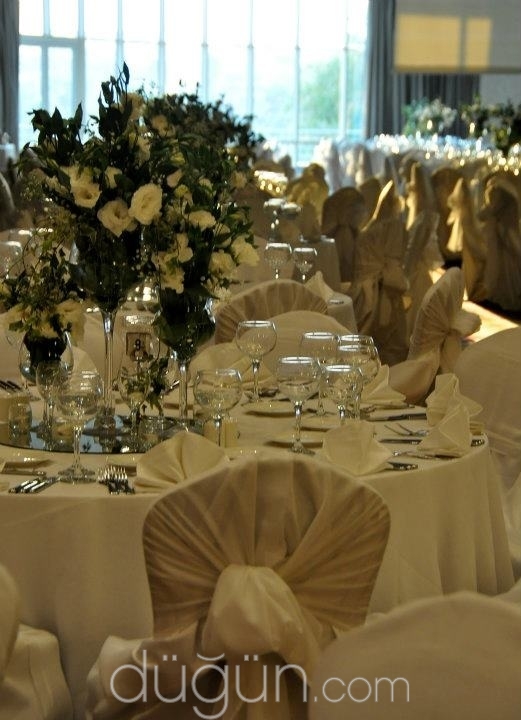 Zeynep Qustoo Çikolata Çiçek Organizasyon