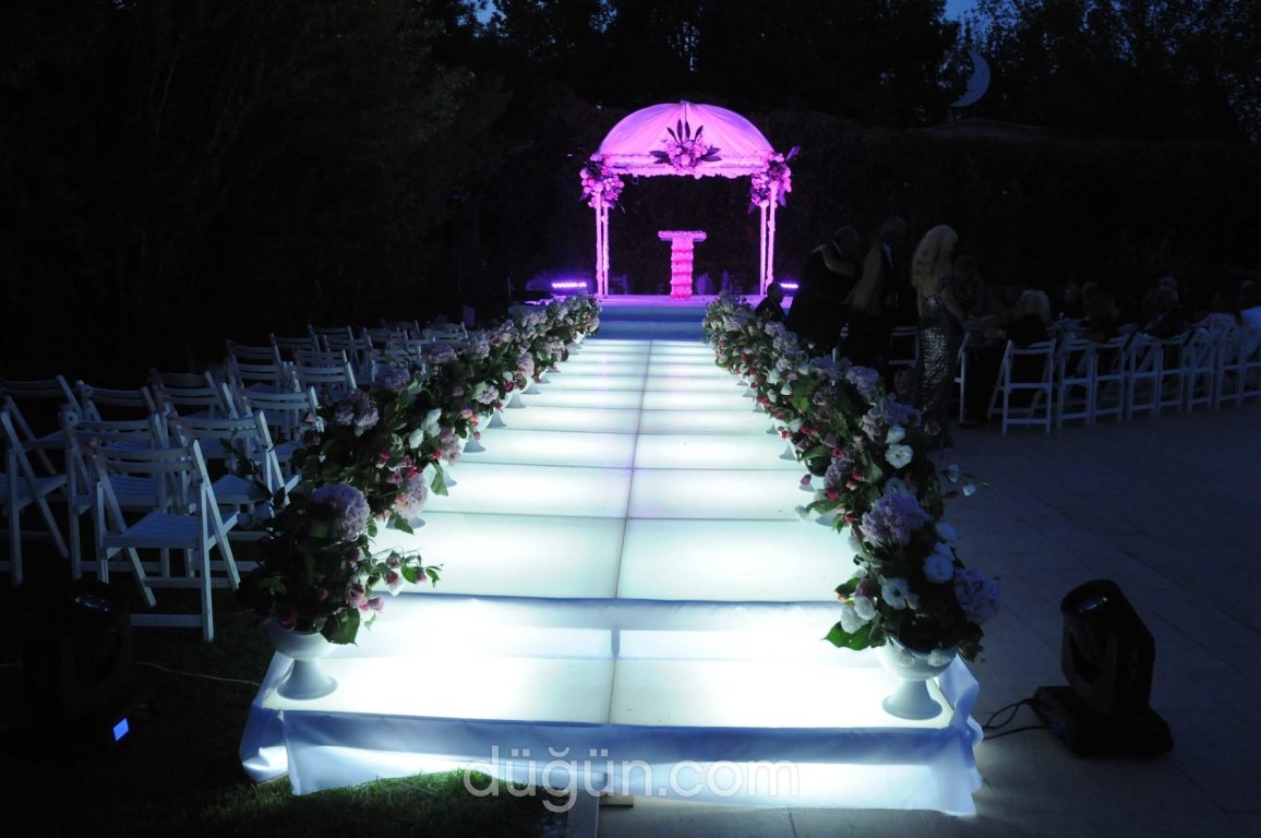 3 Bay Davet Organizasyon