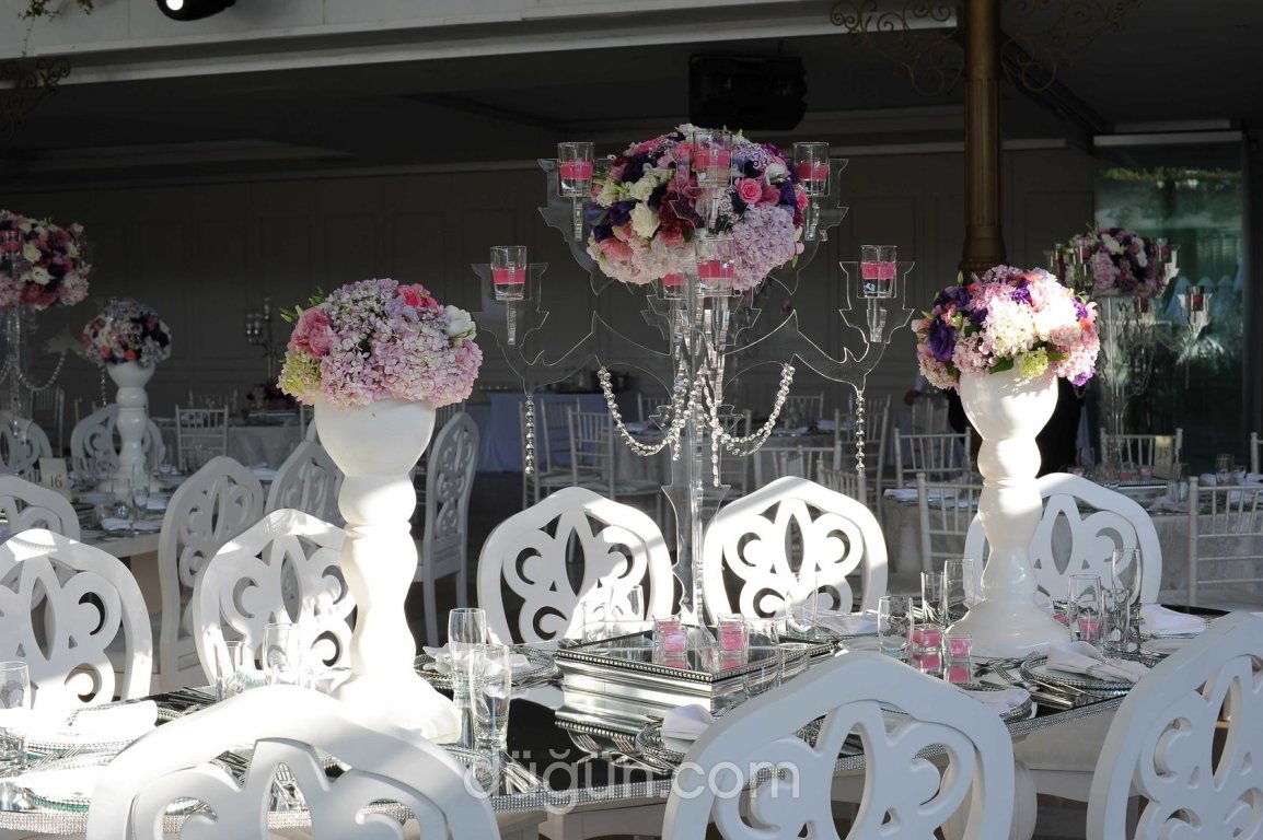 3 Bay Davet Organizasyon