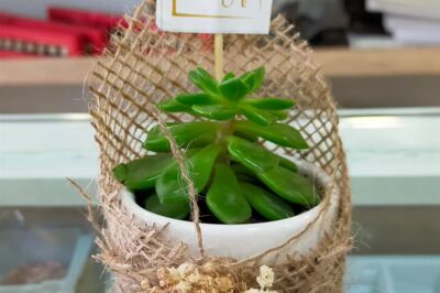 Mengilli Çiçekçilik ve Çikolata