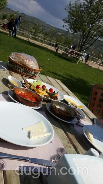 Altınyele Binicilik