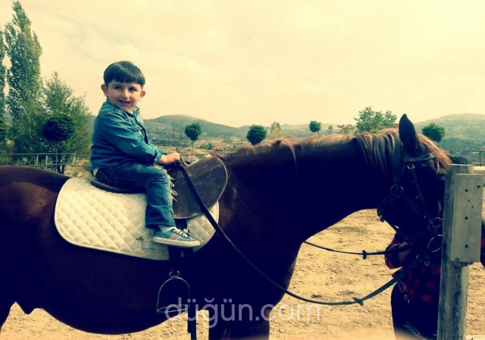 Altınyele Binicilik