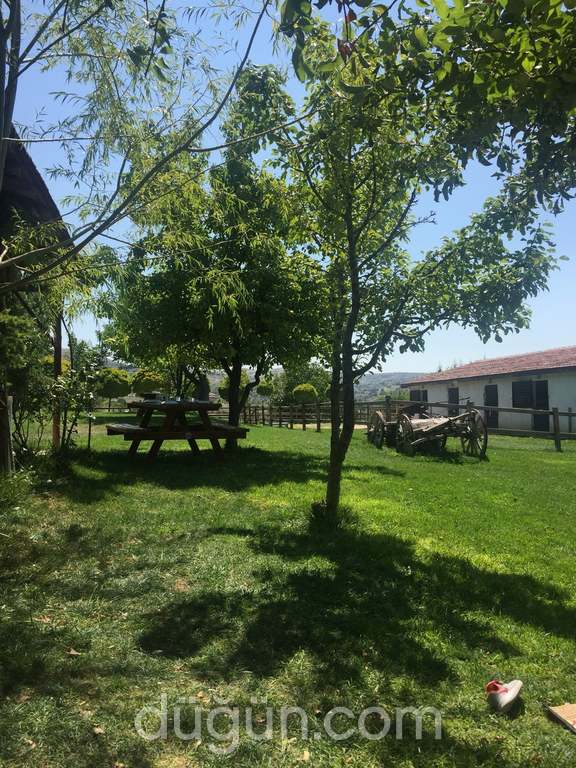 Altınyele Binicilik