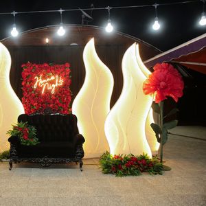 Alâ Organizasyon