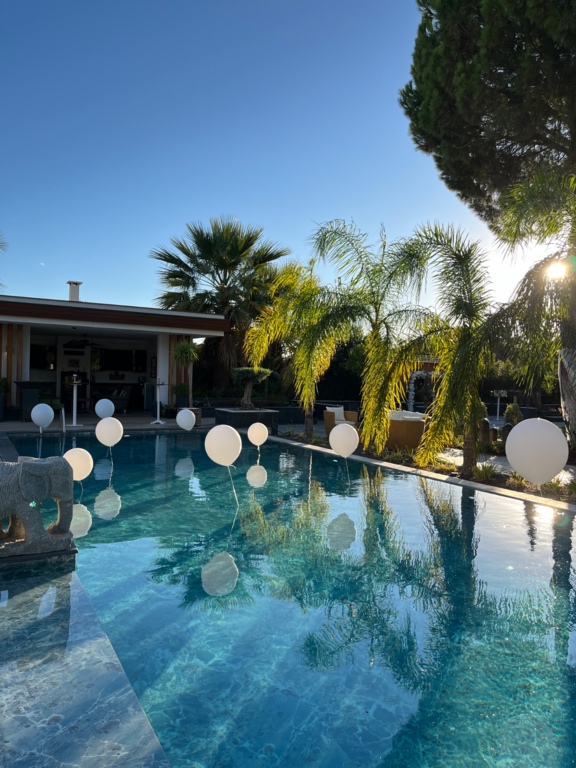 Rüya Parti Bodrum Organizasyon