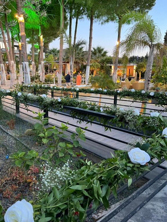 Rüya Parti Bodrum Organizasyon