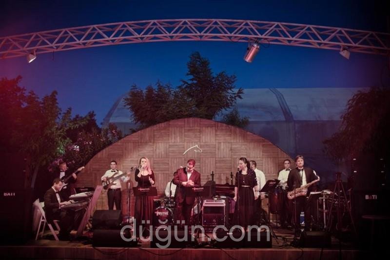 Positive Live Project