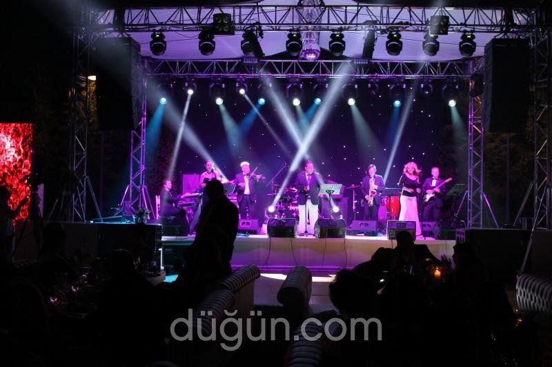 Positive Live Project