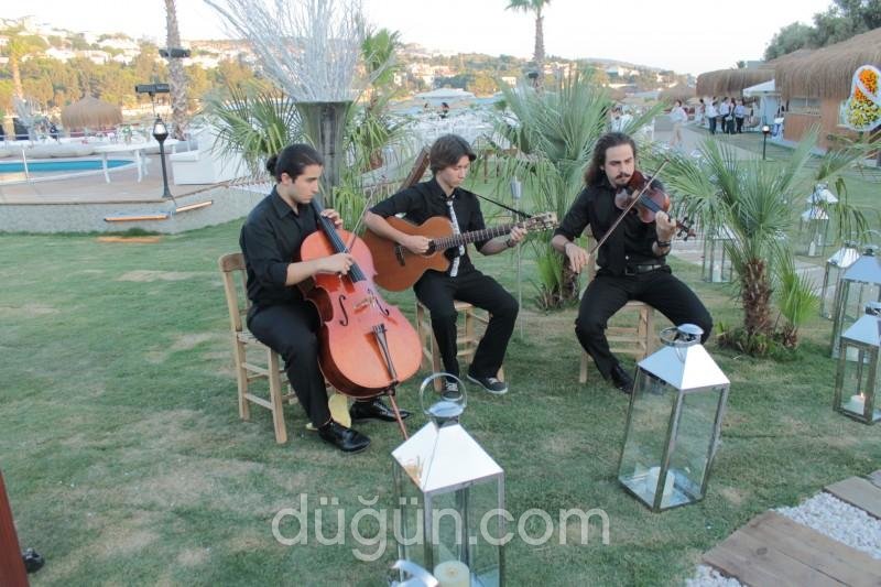 Positive Live Project