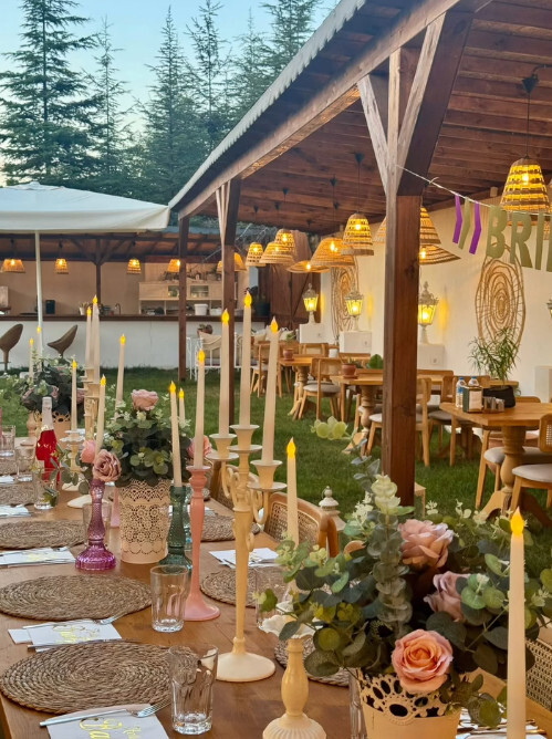 Tek Bahçem Organizasyon