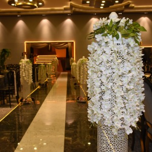 image-2300035
