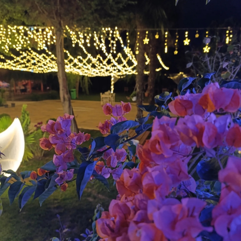 Temenye Garden Tuzla