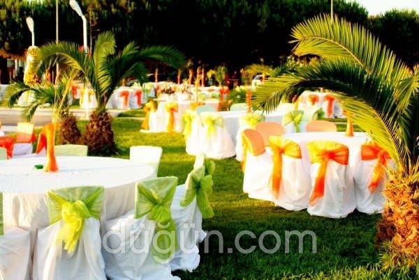 Eri Tanıtım ve Organizasyon