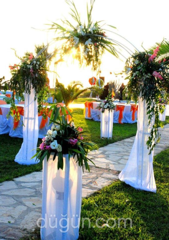 Eri Tanıtım ve Organizasyon