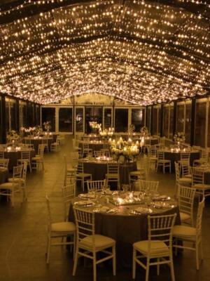 YLZ Davet Organizasyon