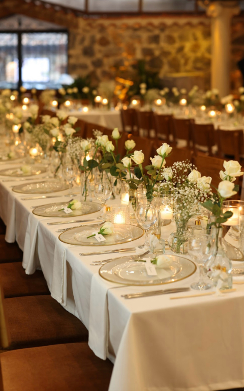 Elma Şekeri Organizasyon