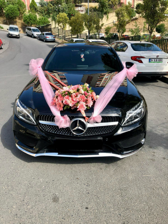 Liva Gelin Arabaları