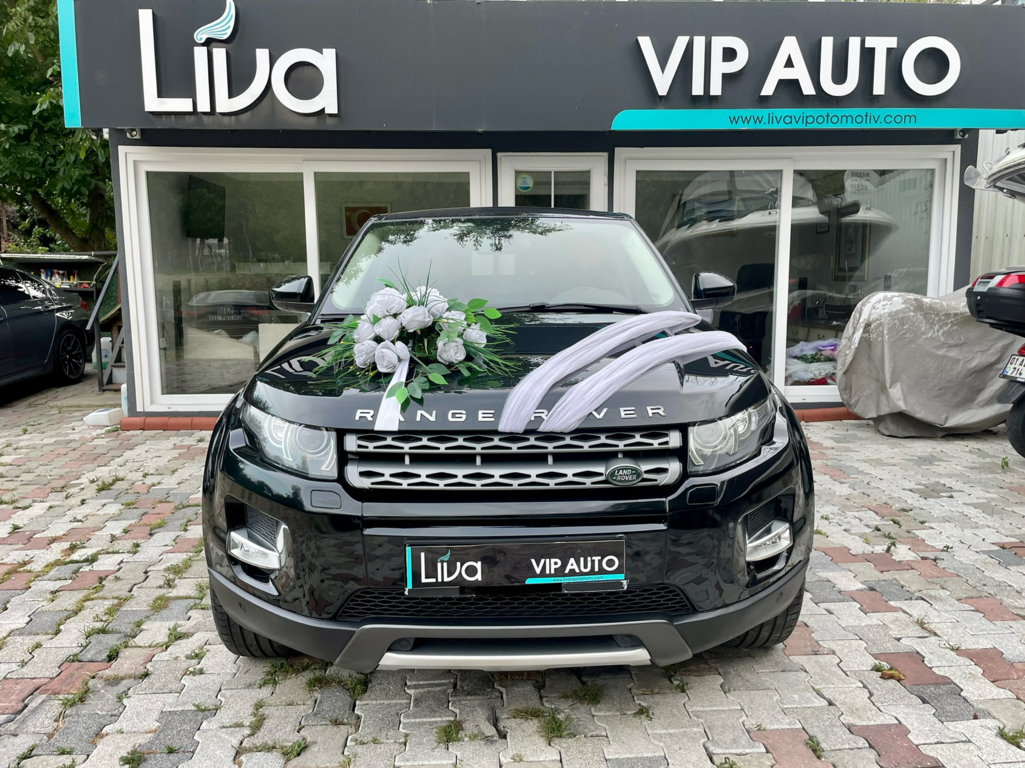 Liva Gelin Arabaları