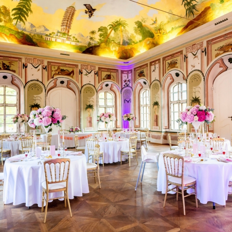 Organizasyon By Serhat Kurt