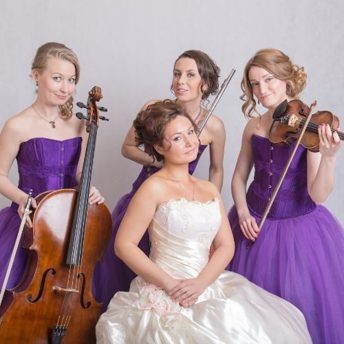 Organizasyon By Serhat Kurt