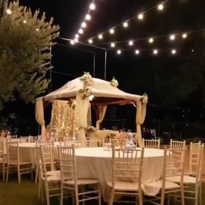 Pembe Begonvil Wedding