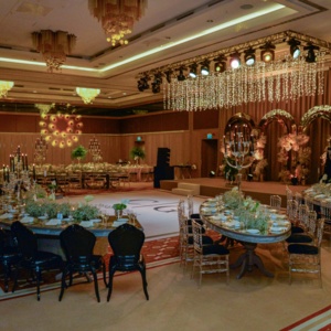 Renaissance İstanbul Polat Bosphorus