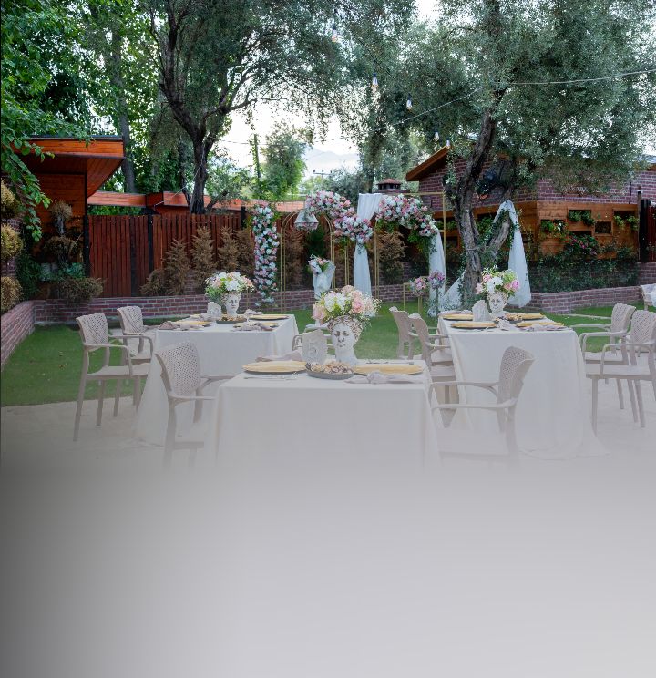 Olive Garden