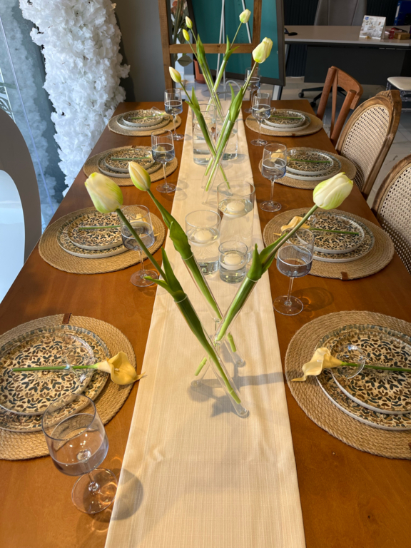 Selluka Concept Organizasyon